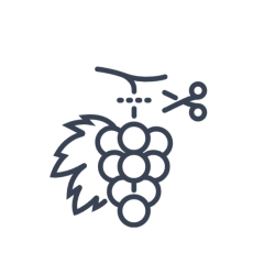 Vinohradnícka technika​​​